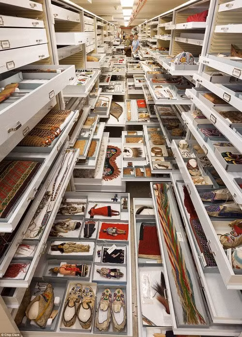 Công sức sưu tầm và sắp xếp đã được hàng trăm nhân viên và các nhà khoa học bỏ ra để có được một không gian lưu giữ khoa học như thế này.