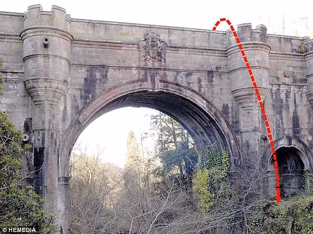 Bi an rung ron cay cau ma cho di qua la nhay song-Hinh-2