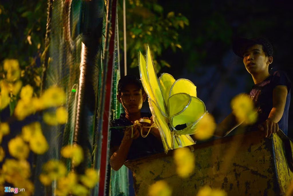 Hoa thay mới được gắn đèn trang trí.