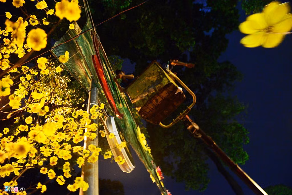 Đường Phạm Ngọc Thạch (đoạn từ Hồ Con Rùa đến đường Lê Duẩn) sau khi được trang trí với nhiều màu sắc đã nhận được nhiều ý kiến khen chê từ người dân khi qua đây. Vào khuya 12/1, công nhân lắp đặt, trang trí đèn đường đã thay thế những cánh hoa bị loang sơn bằng hoa mới.