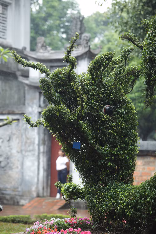 Đầu rồng ngẩng lên, xung quanh là râu, vây… được các nghệ nhân tạo hình khéo léo, tỉ mỉ.