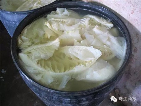 Rung minh xem tay trang sach bo bang hoa chat doc hai