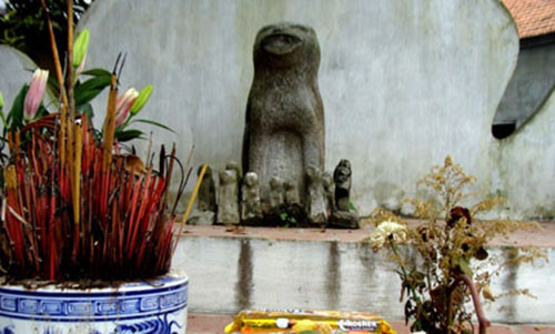 Ky la ngoi lang o ngoai o Ha Noi keu oan voi... cho da