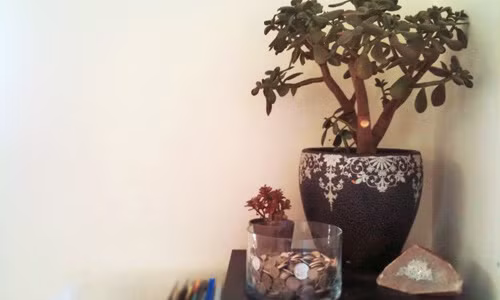 Cuoi nam de vat nay trong nha tien vao nhu nuoc