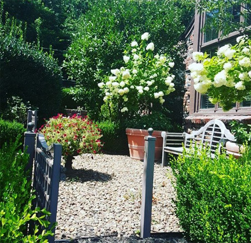 Một góc vườn với chiếc ghế dài giúp thư giãn trong vườn. Cây cỏ được trồng một cách hợp lý tạo không gian như một khu vườn cổ tích.