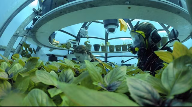 Dự án nghiên cứu Nemo Garden bắt đầu từ năm 2012, thực hiện trên 7 nhà kính, mỗi nhà có thể chứa 8-10 khay dài để trồng rau.