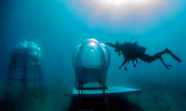 Đương nhiên, với điều kiện canh tác dưới biển thế này, những người nông dân công nghệ cao phải có thêm kỹ thuật lặn. Họ mặc trang phục lặn và dùng bình dưỡng khí để tiếp cận nhà kính và tiến hành công tác gieo trồng, chăm sóc và thu hái sản phẩm.