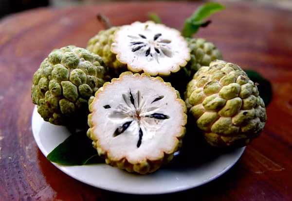  Na dai Thái Bình ăn có vị ngọt thơm, để được lâu hơn na bở, dễ bóc vỏ, múi na cũng dai hơn. Na dai là loại quả rất bổ dưỡng.