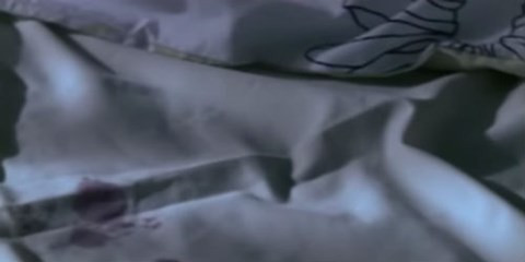 Ga yeu rau xanh vo hinh chuyen hiep dam trong mo