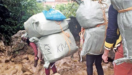 Toi di lam nu cuu van hang lau