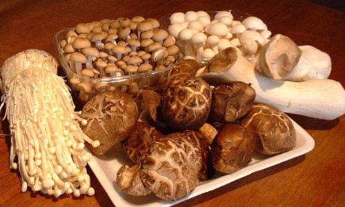 Khi nấu lại, các protein và hàm lượng dinh dưỡng trong nấm sẽ biến thành chất độc có hại cho dạ dày. Ảnh minh họa.