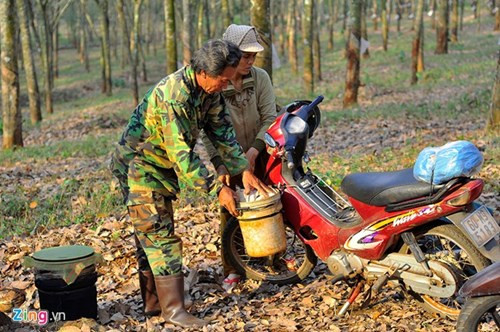 Tuổi cao nhưng mỗi ngày, vợ chồng ông Lê Văn Hiếu vẫn chạy xe máy hàng trăm km đi săn kiến. Ông cho biết, đường xa, đi lại vất vả nhưng đổi lại có niềm vui và thu nhập. "Việc làm nhẹ nhàng, tạo sự hứng khởi. Nghỉ việc ngày nào tôi thấy buồn chán ngày đó nên không nghĩ đến chuyện bỏ nghề", nông dân có mái tóc lấm tấm sợi bạc nói.