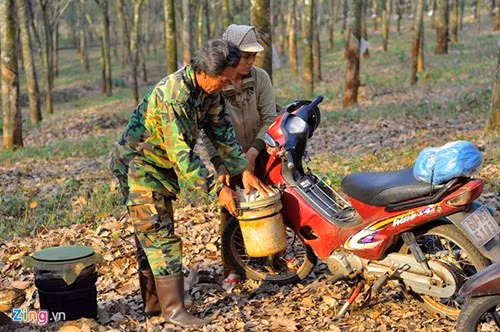 Tuổi cao nhưng mỗi ngày, vợ chồng ông Lê Văn Hiếu vẫn chạy xe máy hàng trăm km đi săn kiến. Ông cho biết, đường xa, đi lại vất vả nhưng đổi lại có niềm vui và thu nhập. "Việc làm nhẹ nhàng, tạo sự hứng khởi. Nghỉ việc ngày nào tôi thấy buồn chán ngày đó nên không nghĩ đến chuyện bỏ nghề", nông dân có mái tóc lấm tấm sợi bạc nói.