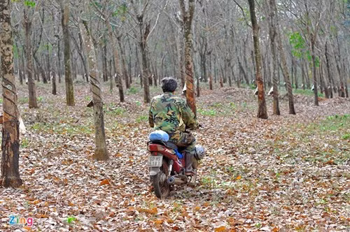Người có nghề độc đáo là vợ chồng ông Lê Văn Hiếu (59 tuổi, ngụ xã Phú Tân, huyện Định Quán, Đồng Nai). Năm 2005, ông tình cờ phát hiện đàn kiến nhọt (côn trùng có thân to màu đen, dài) vào hang tấn công bọ cạp khiến loài động vật có nọc độc phải chạy ra ngoài. "Tôi quan sát và nghĩ đến việc sử dụng kiến săn bọ cạp thay cho việc đào hang. Nghề câu thứ côn trùng lạ lùng bén duyên với tôi từ ngày đó", ông Hiếu kể.