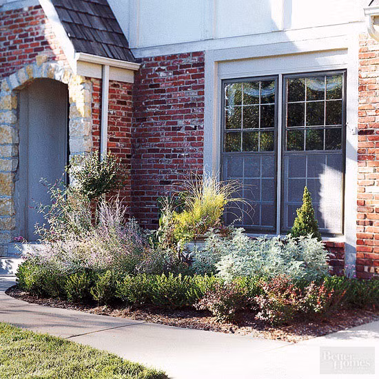 Sau đó: Các loại cây và hoa được trồng theo hàng nối khiến khu vực trước nhà trở nên sinh động hơn.