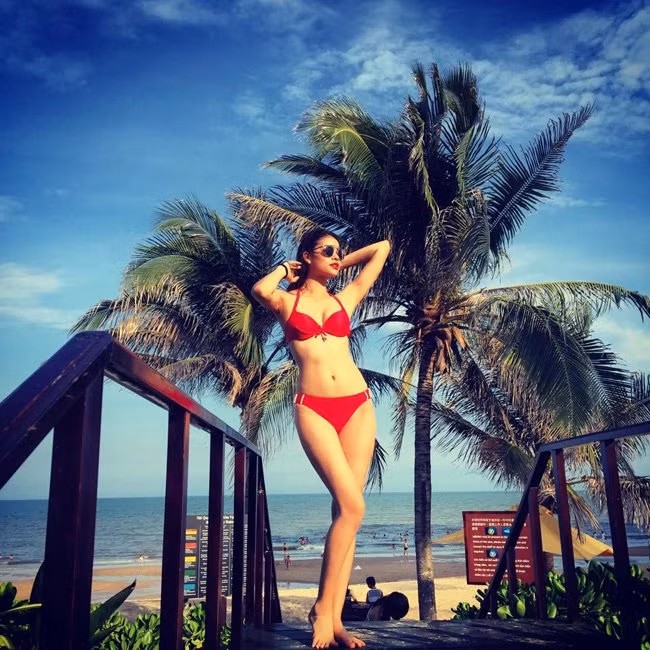 Phạm Hương sinh năm 1991 tại Hải Phòng. Cô từng tham dự rất nhiều cuộc thi sắc đẹp trước khi đến với Hoa hậu Hoàn vũ Việt Nam 2015.