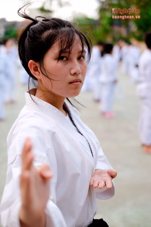 Mới chỉ gắn bó với môn võ thuật được hơn 4 năm, nữ sinh xinh đẹp Phạm Hữu Khánh Linh (18 tuổi) hiện là tân sinh viên của trường đại học Đại học kinh tế - Đại học Đà Nẵng (cựu học sinh trườngTHPT Huỳnh Thúc Kháng, T.P Vinh) đã rinh về gần 10 huy chương vàng, bạc, đồng các loại tại các giải đấu võ Karatedo của tỉnh và các giải thi đấu mở rộng.