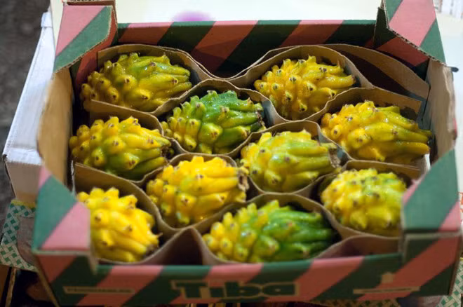 Hiện nay, nhiều cửa hàng đang nhập thanh long vàng từ Malaysia về bán với mức giá 690.000 đồng/kg. Theo quản lý cửa hàng sở dĩ giá sản phẩm cao là vì lượng cung hiếm, lại vận chuyển bằng đường hàng không nên chi phí cao. Ngoài ra, cửa hàng chủ yếu lựa chọn những sản phẩm loại một nên giá đắt.