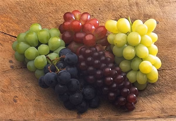 5. Nho Nho chứa quercetin ngăn ngừa oxy hóa, ức chế và chặn các tế bào ung thư. Bên cạnh đó, resveratrol có trong nho cũng giúp ngăn ngừa ung thư, tạo DHA bổ sung dưỡng chất cho cơ thể. Nên rửa sạch và ăn nho cả vỏ vì các chất anthocyanidin, resveratrol chống ung thư đều tập trung ở vỏ.