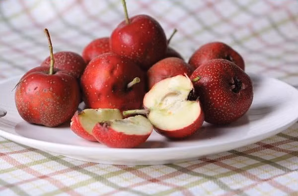 2. Sơn tra (táo gai) Quả sơn tra chứa nhiều vitamin C, có khả năng phòng ngừa oxy hóa, chống ung thư. Bên cạnh đó, hợp chất flavonoid có trong sơn tra giúp ngăn chặn sự tạo thành và lan truyền các tế bào ung thư, tăng cường miễn dịch. Có thể nấu cháo sơn tra hoặc nấu chè giải nhiệt.