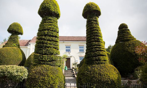 Hàng cây hình của quý khổng lồ bên ngoài biệt thự ở vùng Somerset ở Anh.