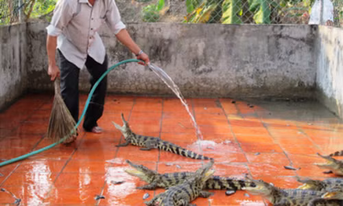 Lo nang nghe buon quai vat duong song o Viet Nam