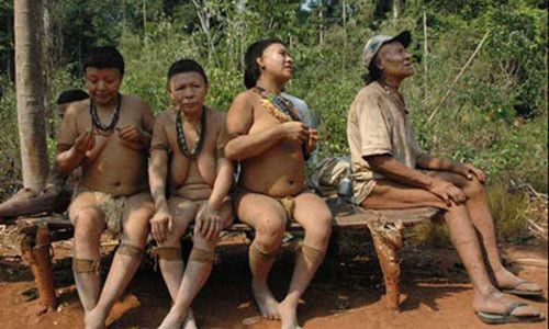 Bộ lạc Akuntsu chỉ còn 5 thành viên.