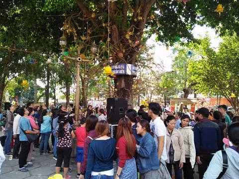 Dung hang gio cho hoa ngoc ky lan rung cau may