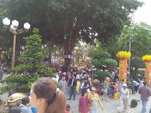 Dung hang gio cho hoa ngoc ky lan rung cau may-Hinh-2