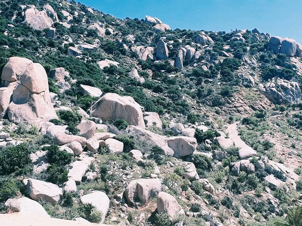 Đi từ TP.HCM đến ngã ba Long Bình, bạn chạy qua cầu Đạo Long, rẽ qua đường Ngô Gia Tự, rồi rẽ phải sang đường 16/4. Bạn sẽ đi qua bảo tàng Ninh Thuận và tượng đài với quảng trường 16/4, bạn có thể check-in tại đây.