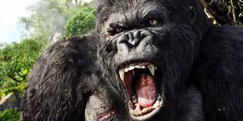 “Kong” phai kiem duoc bao nhieu de thoat bo vuc lo von?