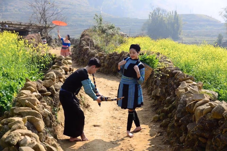 Tuy không rộng lớn, trải dài tít tắp nhưng cánh đồng hoa cải vàng tại bản Cát Cát cũng hết sức hấp dẫn đối với các bạn trẻ và du khách.