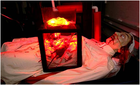 Chuột Người ta sẽ đặt một chiếc lồng sắt có một phía úp vào thân của phạm nhân. Thả chuột vào đó và cho than đỏ hoặc các vật chất nóng chảy ở phía trên lồng. Vì sợ sức nóng, những con chuột sẽ chạy toán loạn và tìm cách cắn xe cơ thể nạn nhân để chui ra ngoài, do đó, thân thể nạn nhân sẽ bị giày xéo và đau đớn đến chết.