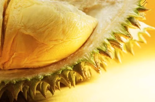 Do vậy, bạn tuyệt đối không được ăn kèm sầu riêng với các thức uống có cồn như bia, rượu. Vì sầu riêng chứa rất nhiều đường và chất béo nên việc ăn hàng ngày sẽ sinh nhiệt trong cơ thể, gây nóng trong, nổi mụn, và nhiệt miệng. Khi chế biến sầu riêng làm món ăn kết hợp cùng các gia vị cay nóng như ớt, tỏi... sẽ gây ra tình trạng bứt rứt khó chịu trong người.