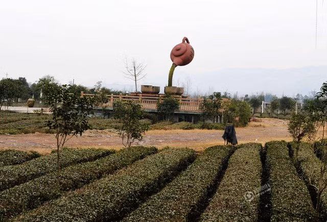 Nhà máy giải thích rằng thực ra “dòng nước” kia là làm từ xi măng để đỡ được trọng lượng rất lớn của ấm trà. Sau một thời gian không được lau chùi, “dòng nước” bị mốc và rêu bám nên trông mất thẩm mỹ. Nhà máy khẳng định nếu duy tu thường xuyên thì sẽ không tới mức như hiện nay.