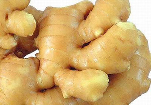 Gừng Trung Quốc cũng bóng đẹp.