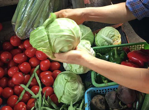 Bắp cải tròn Trung Quốc, được nhập về Việt Nam nhiều vào mùa hè vì khi đó miền Bắc nắng nóng nên không trồng được loại rau này.