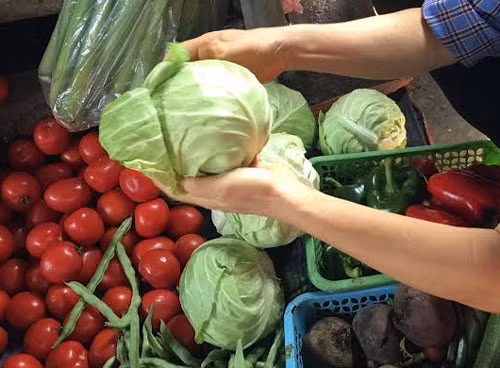 Bắp cải tròn Trung Quốc, được nhập về Việt Nam nhiều vào mùa hè vì khi đó miền Bắc nắng nóng nên không trồng được loại rau này.