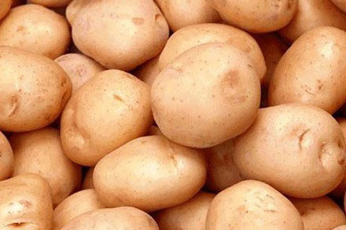 Khoai tây Trung Quốc rất dễ bị đổi "quốc tịch" là khoai tây Đà Lạt.