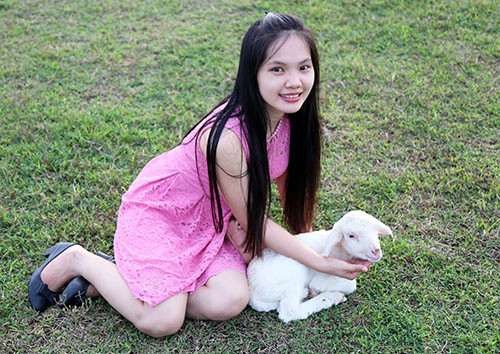 Thời gian gần đây, nhiều bạn trẻ rỉ tai nhau về một cánh đồng cừu ở xã Suối Nghệ, huyện Châu Đức, tỉnh Bà Rịa - Vũng Tàu và đã đổ xô về đây chụp ảnh. Thực tế, nơi này không phải là một điểm du lịch nổi tiếng, xung quanh cũng không có những tòa nhà cao tầng hay các khu nghỉ dưỡng cao cấp, nhưng nó lại có sức hút mạnh mẽ khiến nhiều đoàn khách du lịch phải dừng chân khi ngang qua.