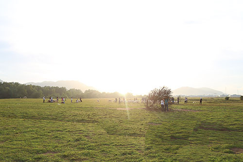 Theo chia sẻ của một người trong nhóm chăn cừu, đàn cừu có hơn 200 con. Ban đầu, những người này chỉ đơn giản chăm sóc những chú cừu, đợi tới mùa lấy lông, thịt, sữa, da,... để bán. Tuy nhiên, hình ảnh những chú cừu đã nhanh chóng nhận được sự chú ý của cộng đồng mạng, sau đó nhiều bạn trẻ và các đoàn du lịch đổ xô tìm tới chụp ảnh. Khi tới đây chụp ảnh, du khách thường gửi tiền bồi dưỡng cho những người chăn cừu. Theo thời gian, đây đã trở thành một nguồn thu nhập cộng thêm cho những người chăn cừu.