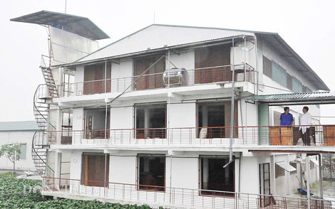 Khu “chung cư” dành cho lợn.