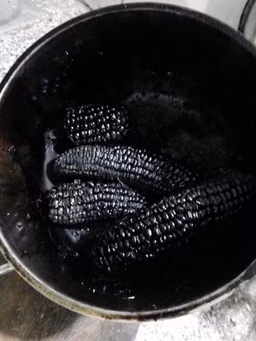 Luộc ngô bằng nồi cơm điện mà luộc xong đen cả ngô lẫn nồi.