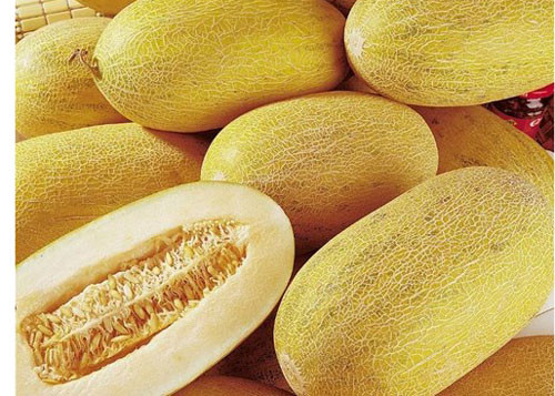 Dưa vàng Trung Quốc thường thon dài, trong khi dưa lưới Việt Nam quả tròn hơn.