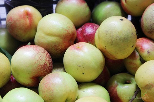 Đào Trung Quốc rất dễ nhận biết khi quả to, tròn, bóng mượt, không có lớp lông bao phủ như đảo mỏ quạ hay các loại đào truyền thống khác của Việt Nam.