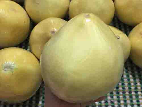 Bưởi lạ vàng óng không rõ nguồn gốc Vỏ vàng óng, quả nào quả nấy đều được bọc trong màng nilon bóng loáng, khi ăn có vị ngọt dịu, không hạt, loại bưởi lạ mới xuất hiện gần đây tại các chợ đầu mối, chợ dân sinh hay thậm chí cả “chợ mạng” có giá chỉ từ 22.000-25.000 đồng khiến nhiều người thích thú mua về ăn thử. Thế nhưng, khi được hỏi về nguồn gốc của loại bưởi này, trồng ở vùng nào ở Việt Nam, người bán lại không giải thích được hoặc chỉ trả lời qua quýt “hàng Việt Nam, đảm bảo sạch” khiến người mua nghi ngờ.