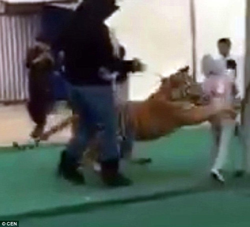 Be gai 6 tuoi bi ho vo suyt chet trong khu mua sam-Hinh-2