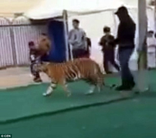 Be gai 6 tuoi bi ho vo suyt chet trong khu mua sam