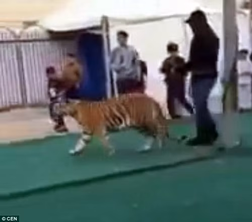 Be gai 6 tuoi bi ho vo suyt chet trong khu mua sam