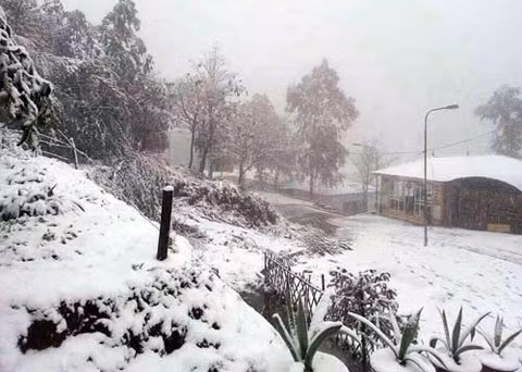 Thien duong trai nghiem mua dong chuan nhat Viet Nam